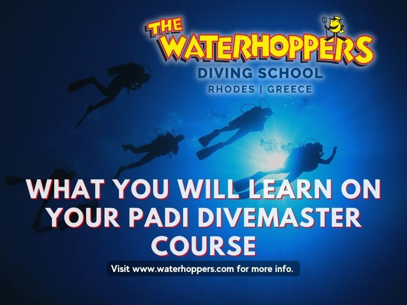 What You Will Learn On Your PADI Divemaster Course